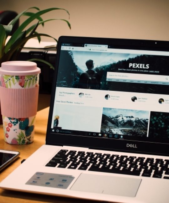 Top Benefits of WordPress Development for Growing Businesses