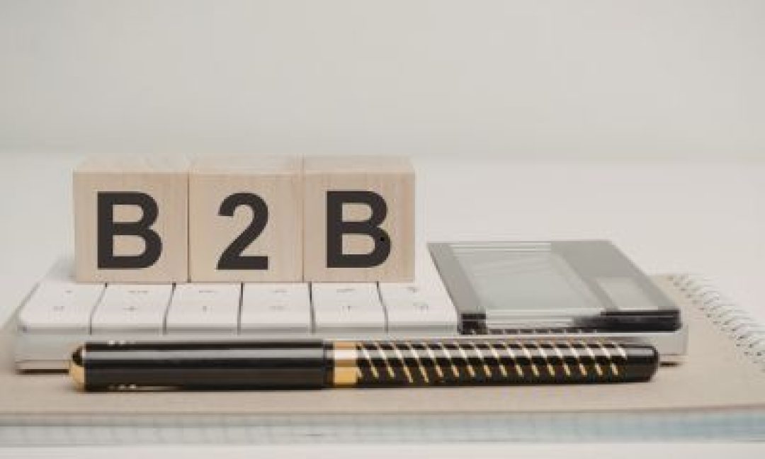 Website Development for B2B Businesses