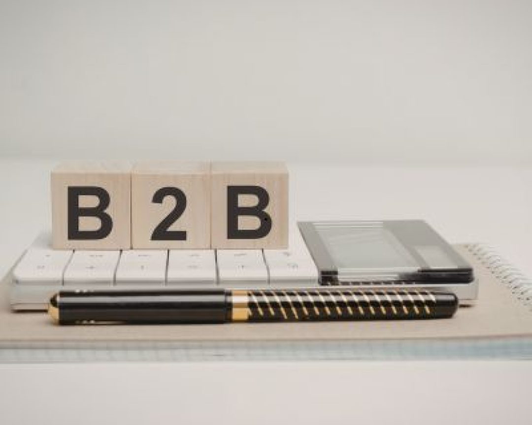 Website Development for B2B Businesses