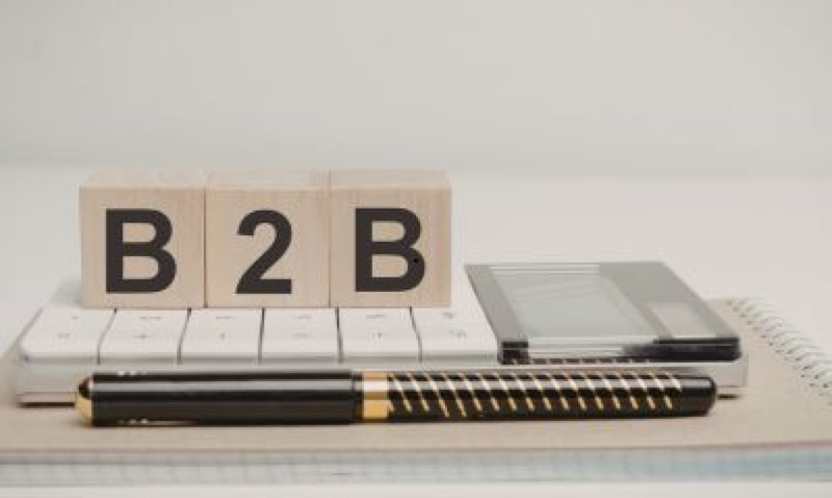 Website Development for B2B Businesses