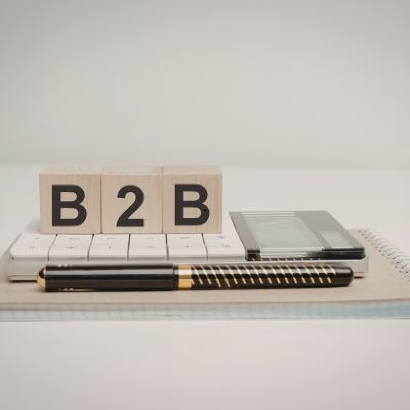 Website Development for B2B Businesses