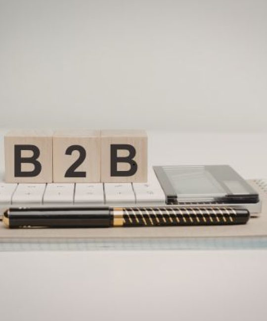 Website Development for B2B Businesses