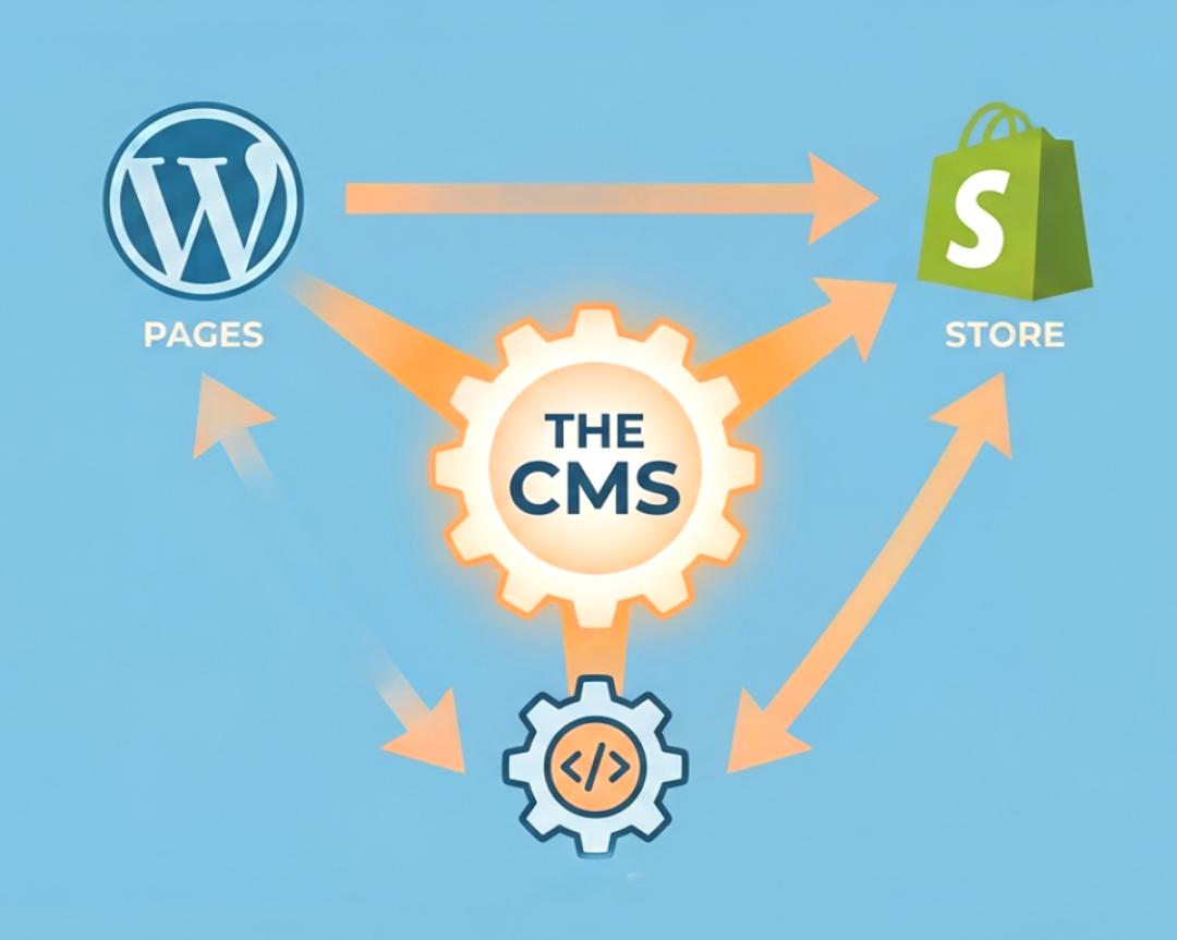 What is a CMS? WordPress, Shopify, and Custom CMS Explained