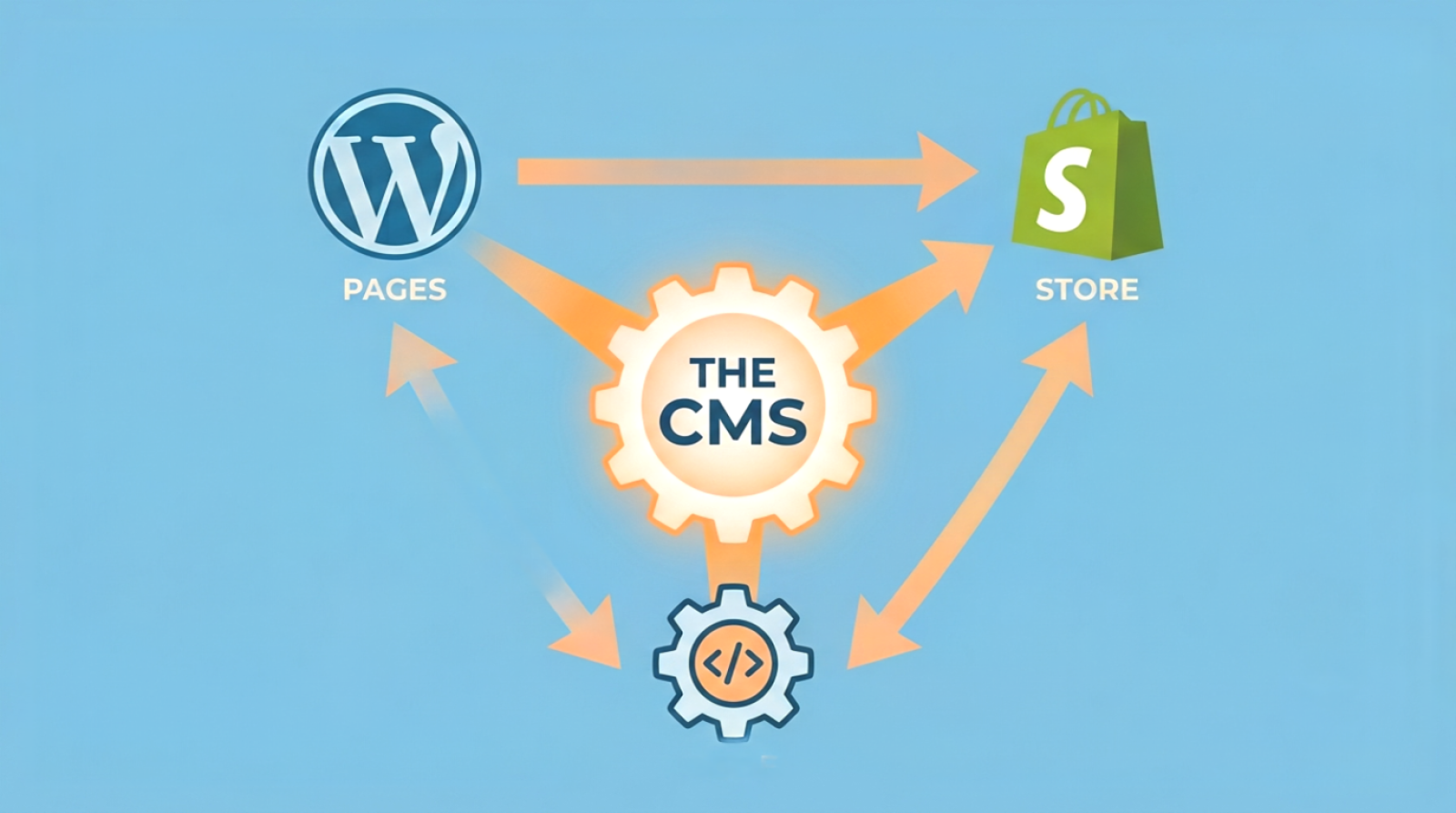 What is a CMS? WordPress, Shopify, and Custom CMS Explained