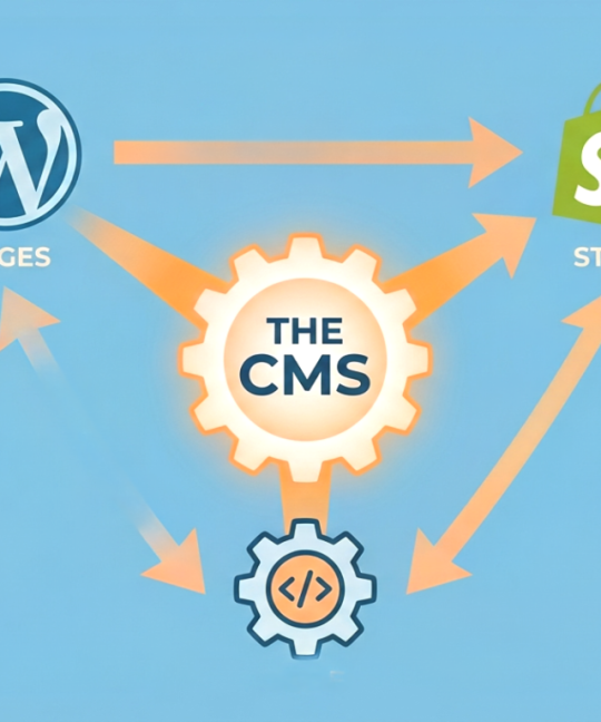 What is a CMS? WordPress, Shopify, and Custom CMS Explained